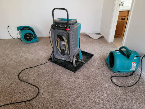  Roseburg, OR Water damage restoration Pros