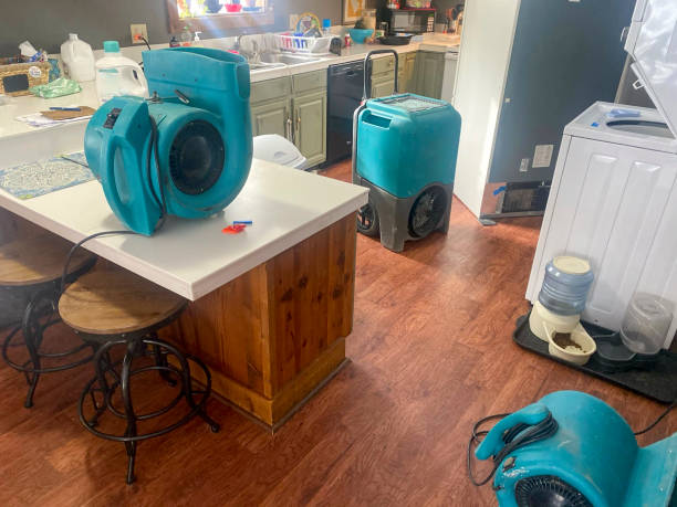 Best Local water damage restoration  in Roseburg, OR