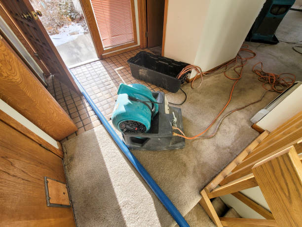 Water damage restoration process in Roseburg, OR