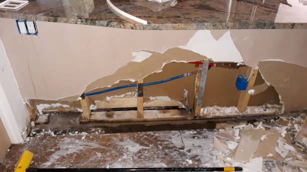 Best Water damage restoration specialists  in Roseburg, OR