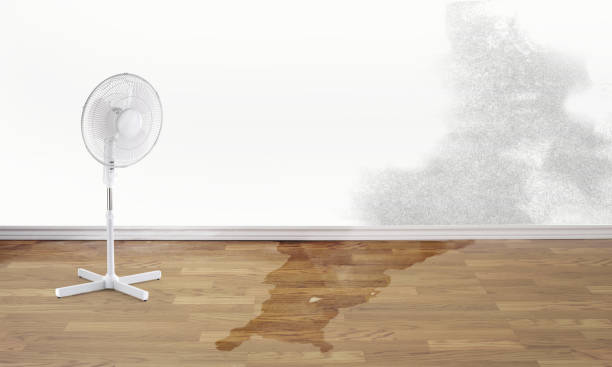 Best Water damage restoration experts  in Roseburg, OR