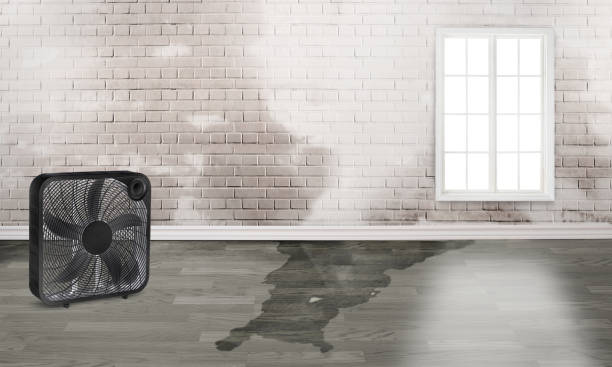 Best 24/7 water damage repair  in Roseburg, OR