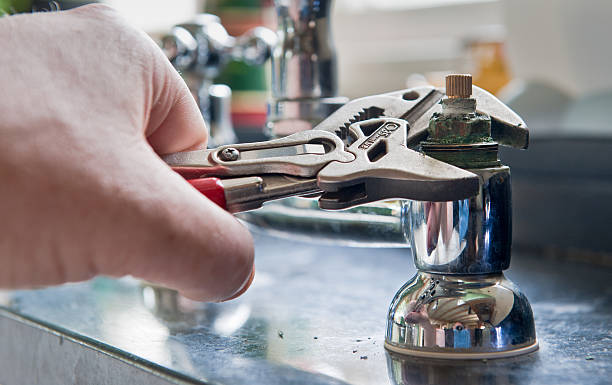 Best Mold removal after water damage  in Roseburg, OR