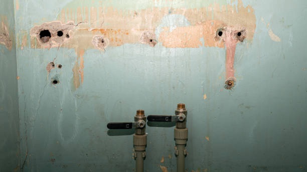 Best Flood restoration services  in Roseburg, OR